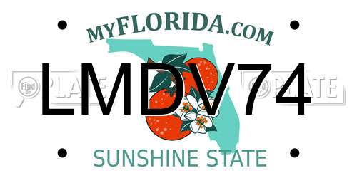 LMDV74 Florida License Plate