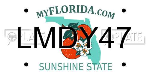 LMDY47 Florida License Plate