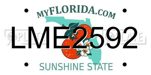 LME2592 Florida License Plate