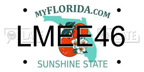 LMEE46 Florida License Plate