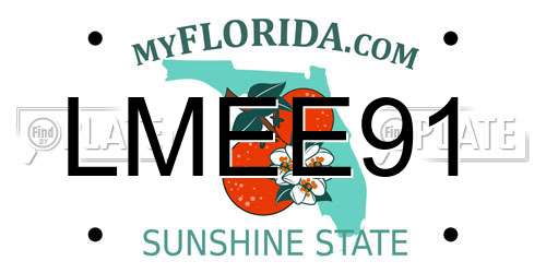 LMEE91 Florida License Plate