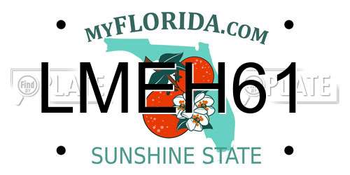 LMEH61 Florida License Plate