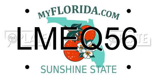 LMEQ56 Florida License Plate