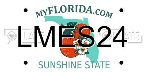 LMES24 Florida License Plate