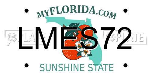 LMES72 Florida License Plate