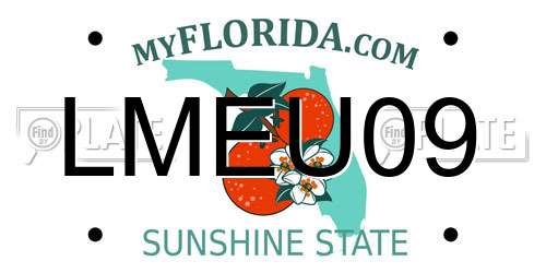 LMEU09 Florida License Plate
