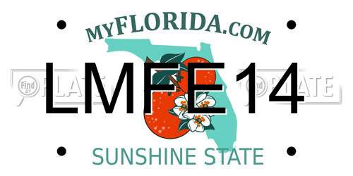 LMFE14 Florida License Plate