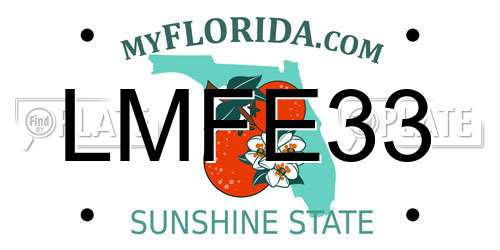 LMFE33 Florida License Plate