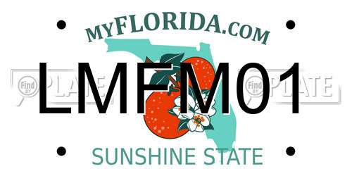 LMFM01 Florida License Plate