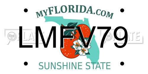 LMFV79 Florida License Plate