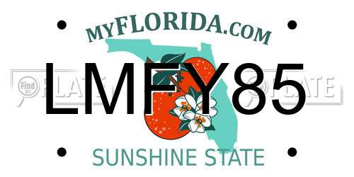 LMFY85 Florida License Plate
