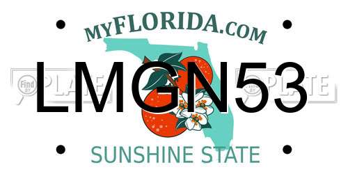 LMGN53 Florida License Plate