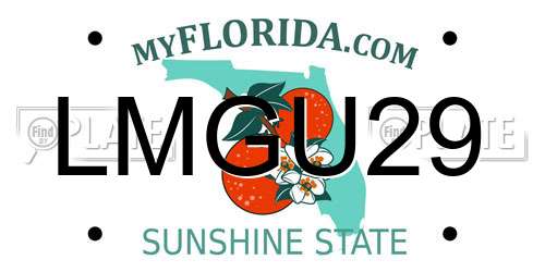 LMGU29 Florida License Plate
