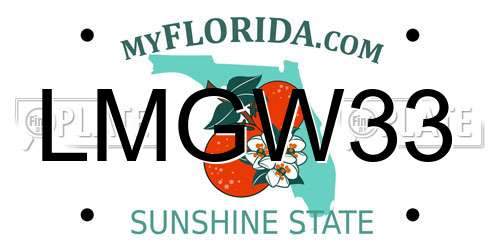 LMGW33 Florida License Plate