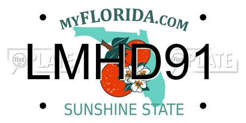 LMHD91 Florida License Plate