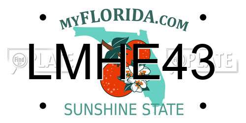 LMHE43 Florida License Plate