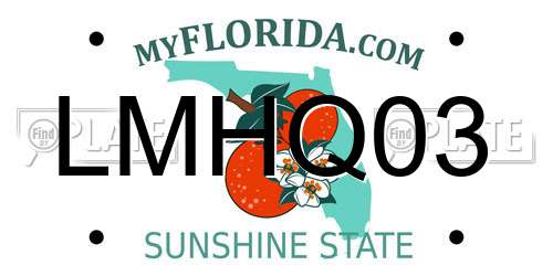 LMHQ03 Florida License Plate