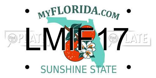 LMIF17 Florida License Plate