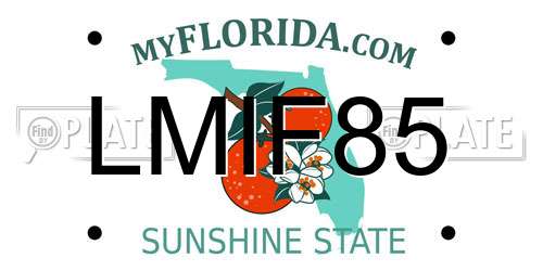 LMIF85 Florida License Plate