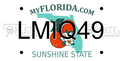 LMIQ49 Florida License Plate