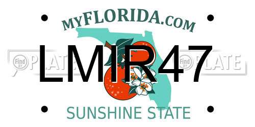 LMIR47 Florida License Plate