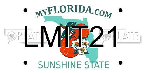 LMIT21 Florida License Plate