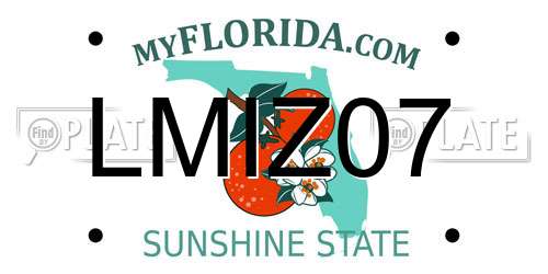LMIZ07 Florida License Plate