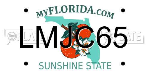 LMJC65 Florida License Plate