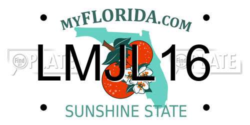 LMJL16 Florida License Plate