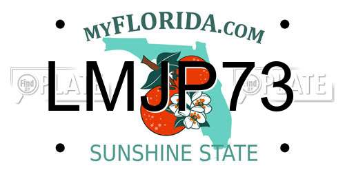 LMJP73 Florida License Plate