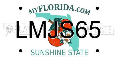 LMJS65 Florida License Plate