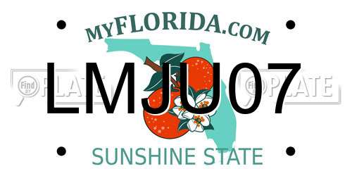 LMJU07 Florida License Plate