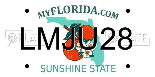 LMJU28 Florida License Plate