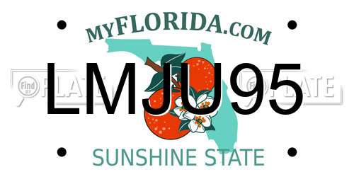 LMJU95 Florida License Plate