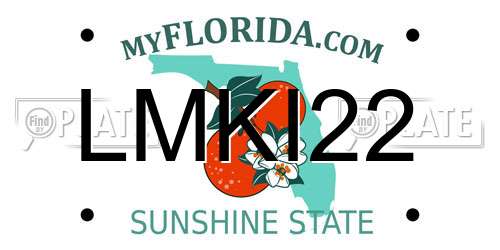 LMKI22 Florida License Plate
