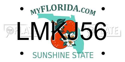 LMKJ56 Florida License Plate