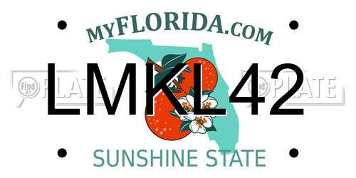LMKL42 Florida License Plate