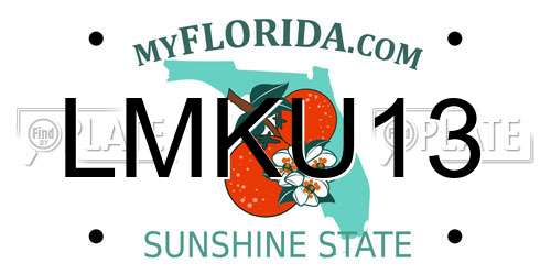 LMKU13 Florida License Plate