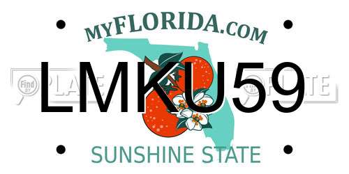 LMKU59 Florida License Plate