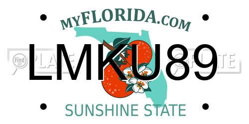 LMKU89 Florida License Plate