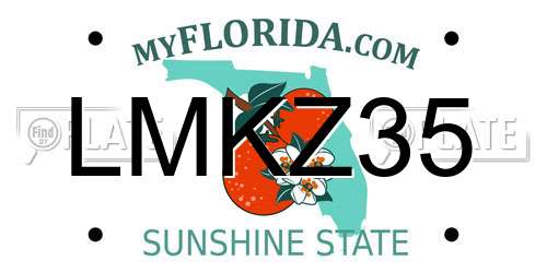 LMKZ35 Florida License Plate