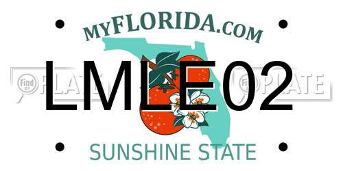LMLE02 Florida License Plate