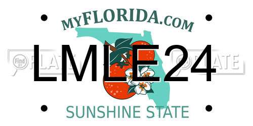 LMLE24 Florida License Plate