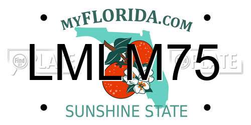 LMLM75 Florida License Plate