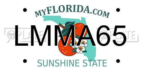 LMMA65 Florida License Plate