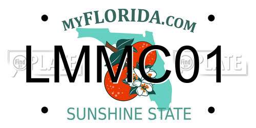 LMMC01 Florida License Plate