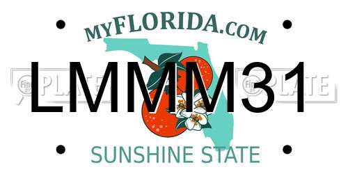 LMMM31 Florida License Plate