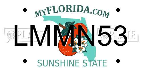 LMMN53 Florida License Plate