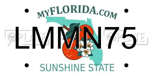 LMMN75 Florida License Plate