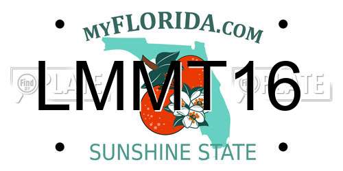 LMMT16 Florida License Plate
